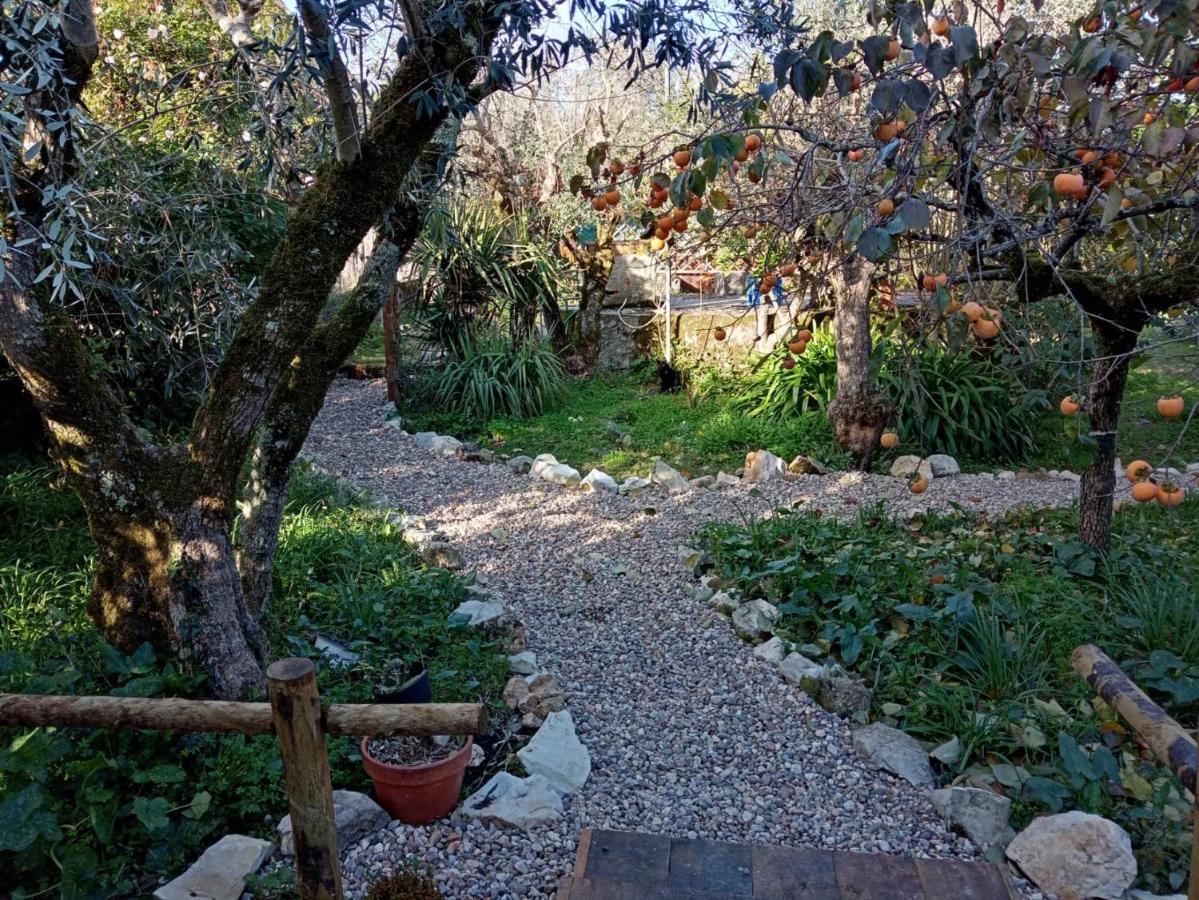 Quinta Dos Church Ancião Dış mekan fotoğraf